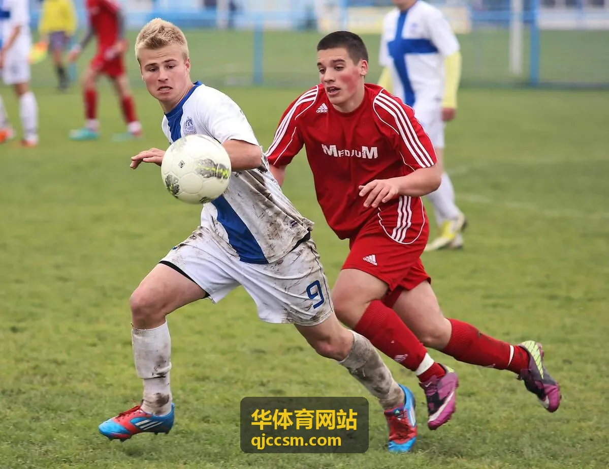 华体育网站行业观察封面